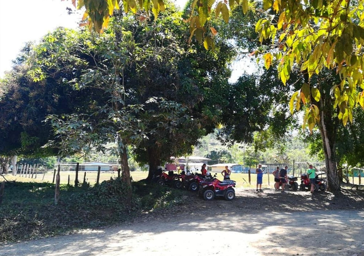 ATVMR2