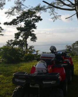 ATVMR3