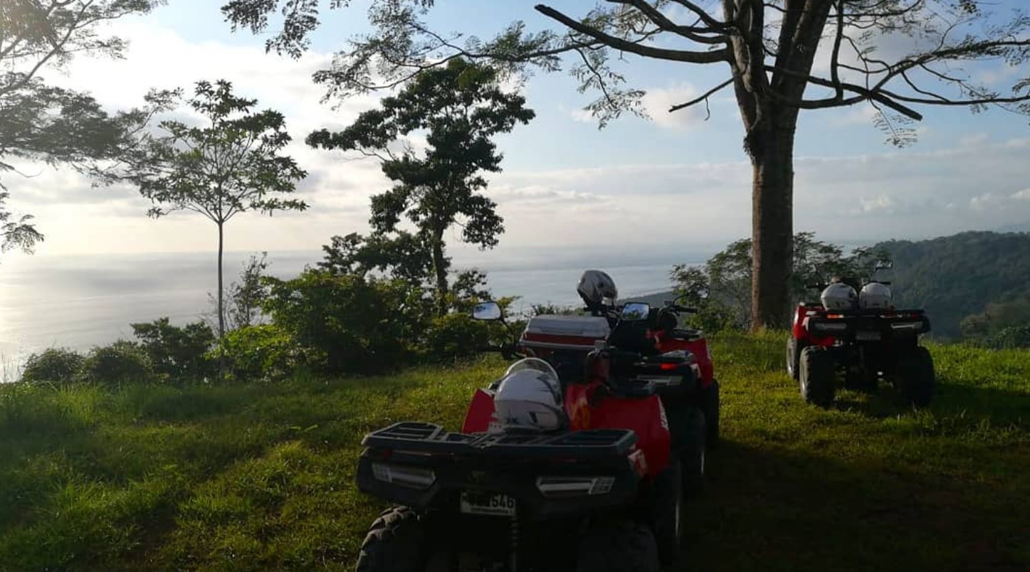 ATVMR3