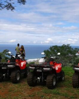 ATVMR5
