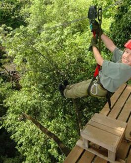 Dominical Canopy Tour – Hacienda Barú