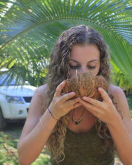 coconut1