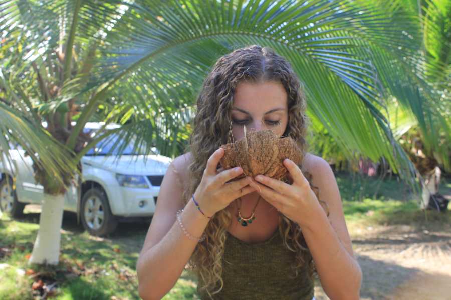 coconut1
