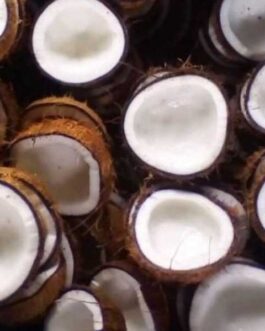 coconut2