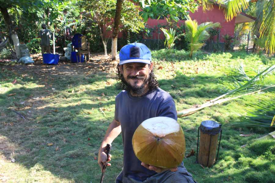 coconut5