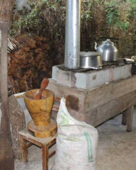 Uvita Coffee Tour