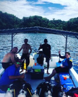diving6