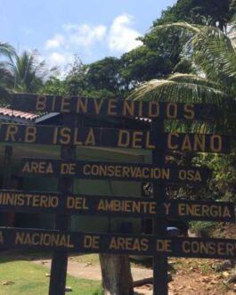 isla11