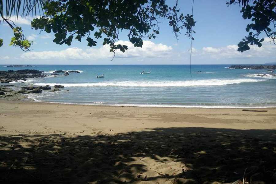 isla14