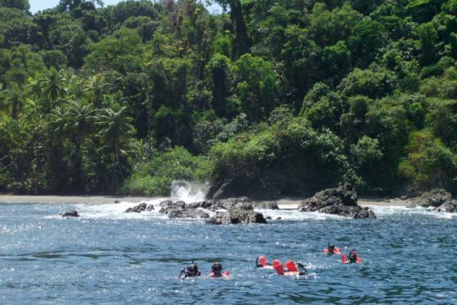 isla3