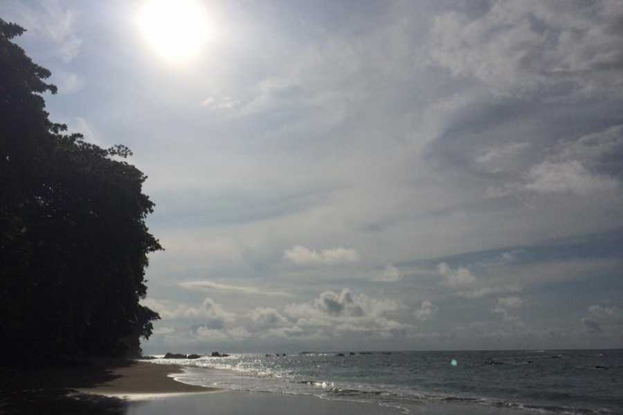 isla6