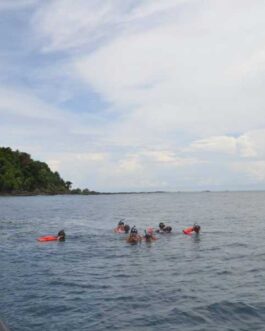 Cano Island Snorkeling from Sierpe Full Day