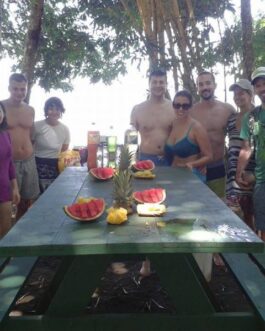 picnic