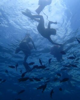 snorkeling