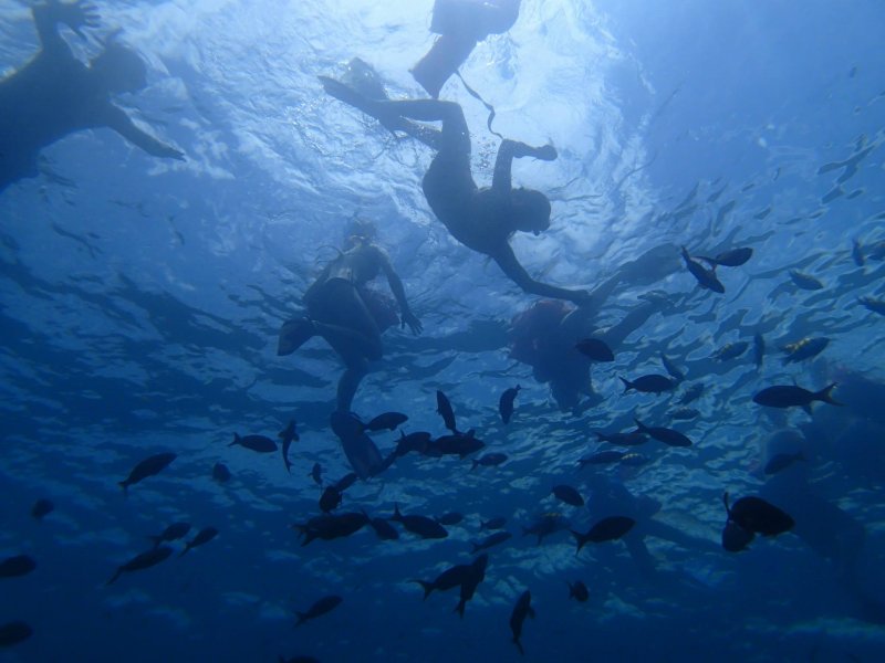 snorkeling