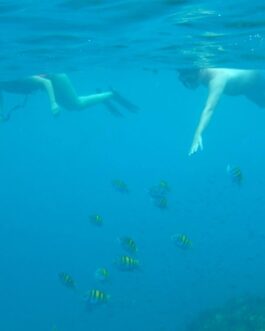 snorkelinggoodvisibility