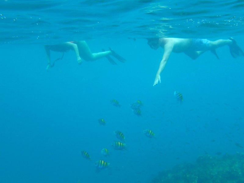 snorkelinggoodvisibility