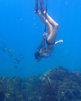 Cano Island Snorkeling from Sierpe Full Day