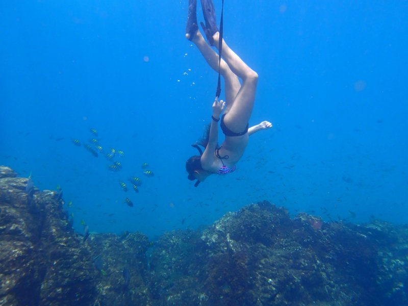 snorkelingveryclear