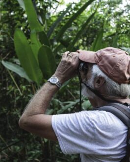 Dominical Mangrove Walk at Hacienda Baru