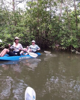 Mangrove Kayak from Sierpe
