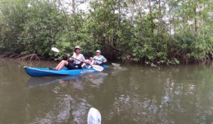 Mangrove Kayaking at Terraba River