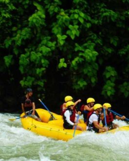 RAFTINGSAVEGRE1