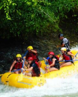 RAFTINGSAVEGRE8
