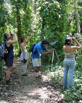 Dominical Bird Watching at Hacienda Baru