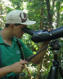 Dominical Rainforest Experience and Hike