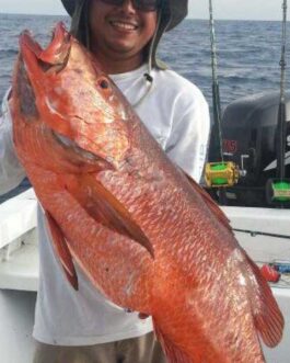 SPORTFISHINGsierpe1