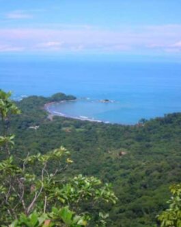SafariTropicalAdventure4