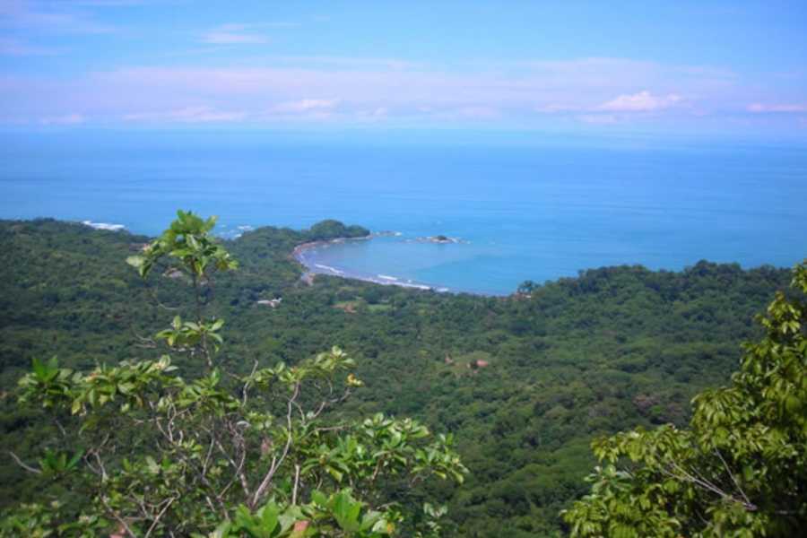 SafariTropicalAdventure4