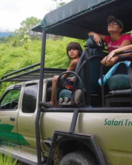 SafariTropicalAdventure5