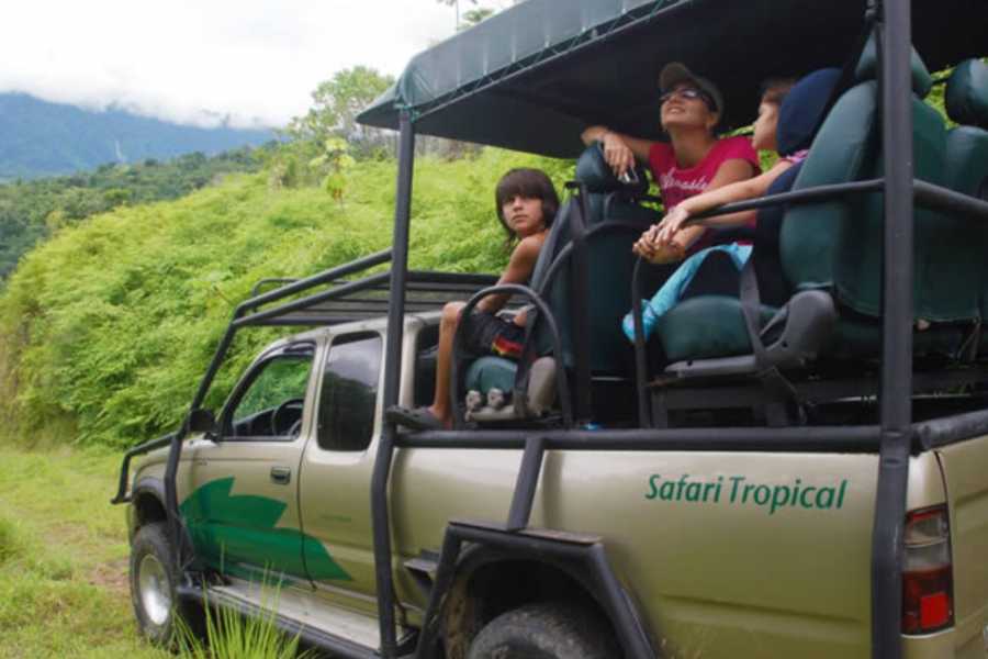SafariTropicalAdventure5