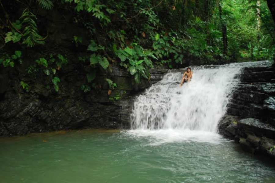 SafariTropicalAdventure6