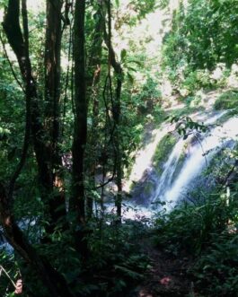 Waterfall-Manuel-Antonio