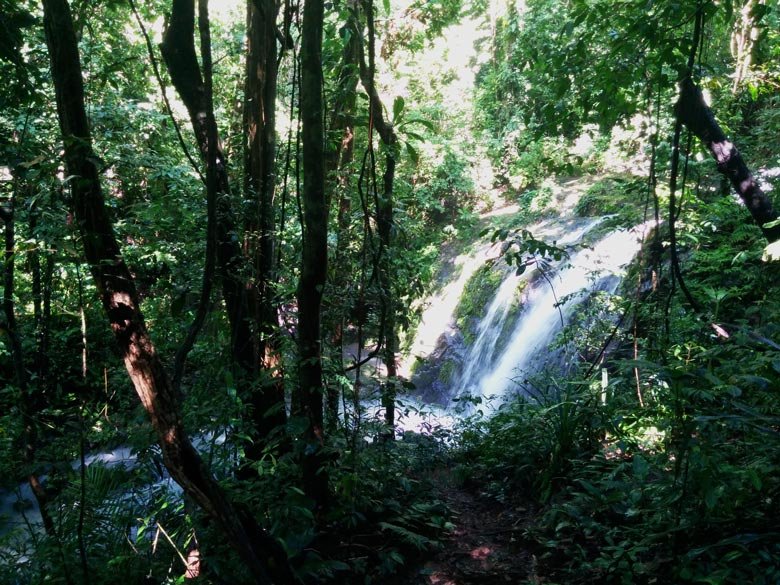 Waterfall-Manuel-Antonio