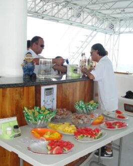 catamaran3