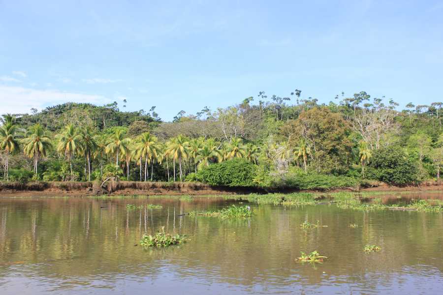 corcovado