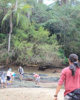 corcovado1