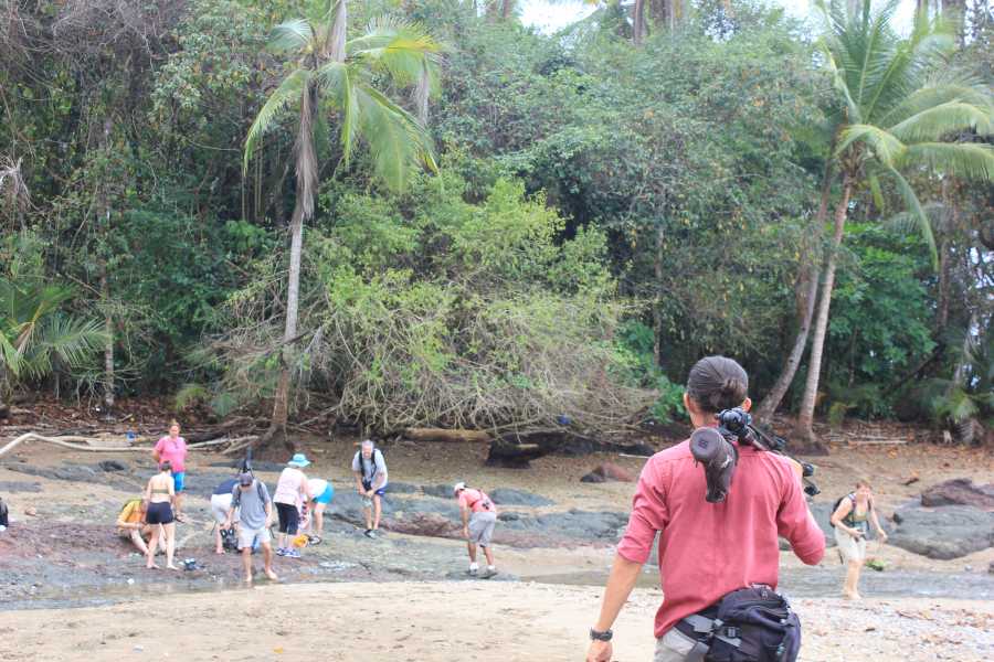 corcovado1