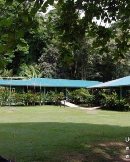 corcovado5