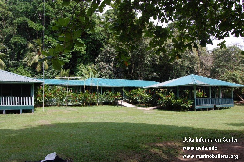 corcovado5