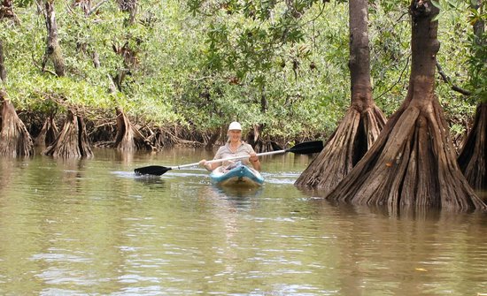 isla-violin-eco-lodge