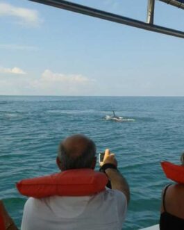 Marino Ballena National park half day