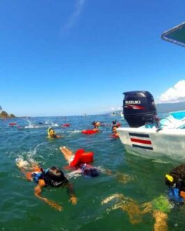 Marino Ballena National park half day