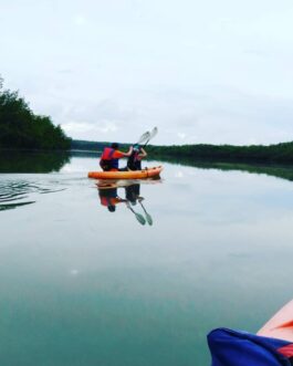 Marino Ballena National Park Kayak Tour