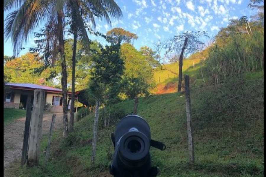 oroverde3