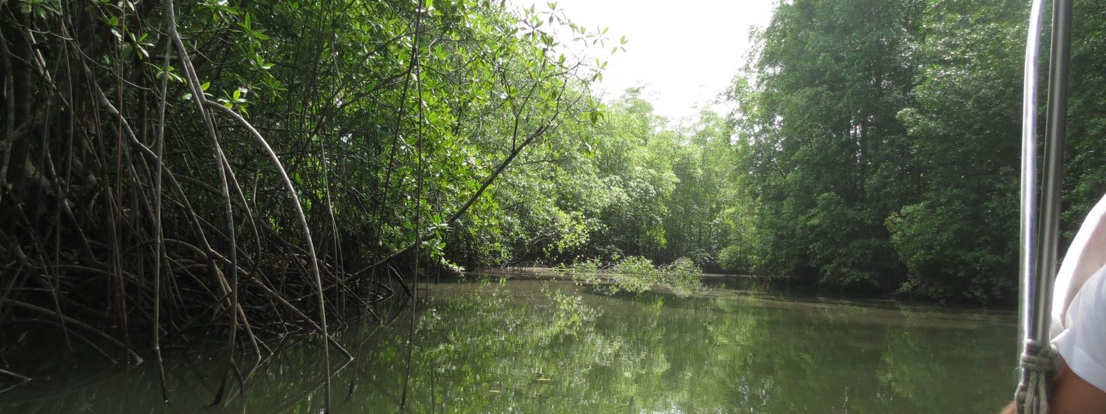 slide01-1600×600